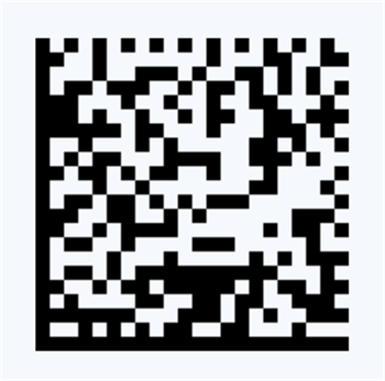 mã dữ liệu matrix